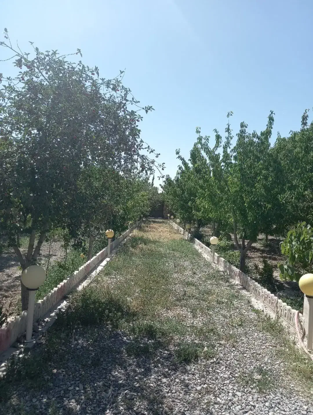 باغ ویلای نکبرگ سند