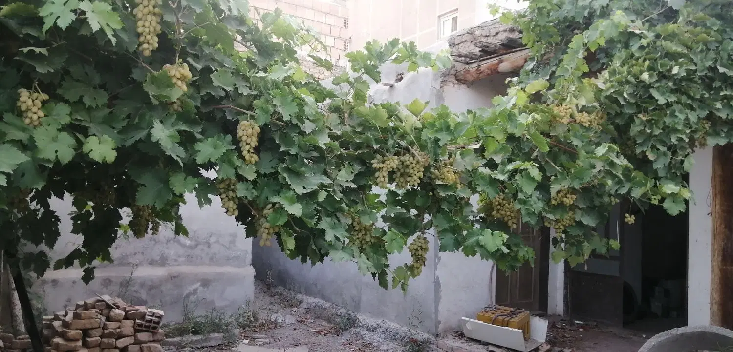 خانه ویلایی شیک و متراژ بالا