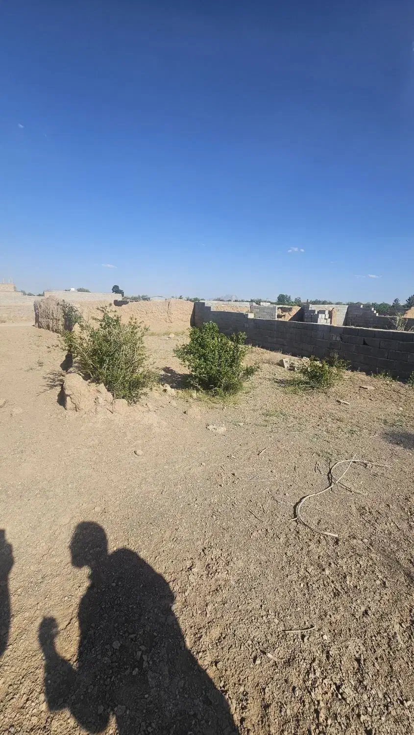 جاخونه گلدشت