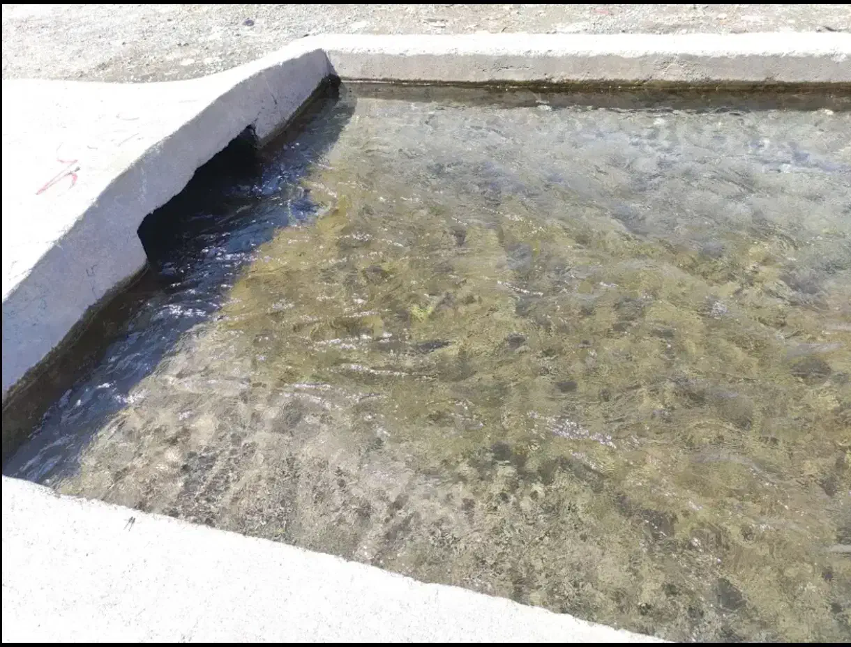 نیم ساعت آب قنات قنبر آباد بم