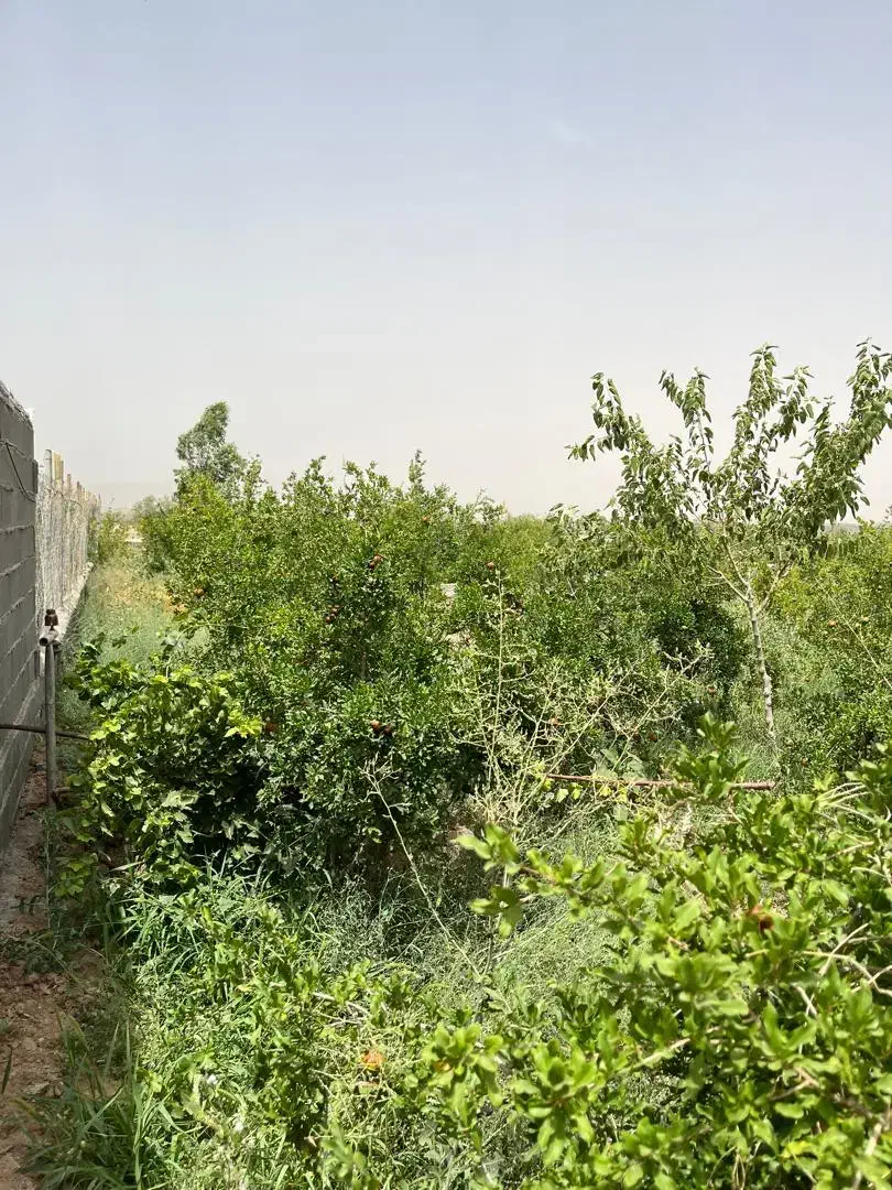 فروش باغ ویلا جاده سدالغدیر روستای آسیابک بند