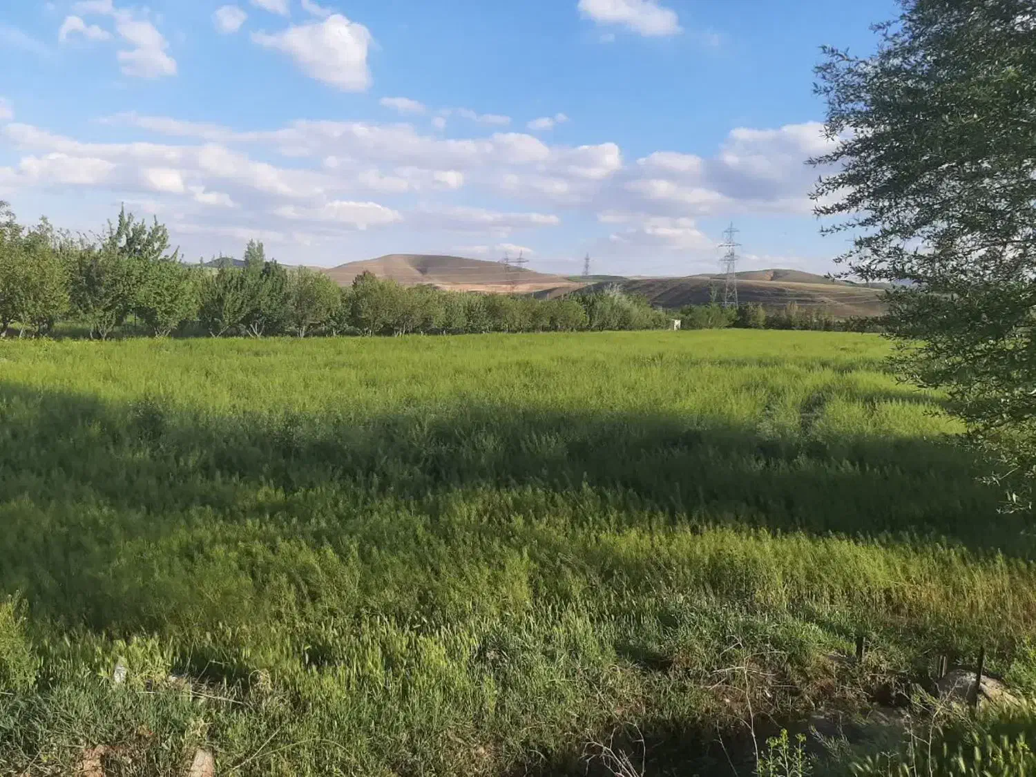 فروش باغ شخصی دیزج آباد