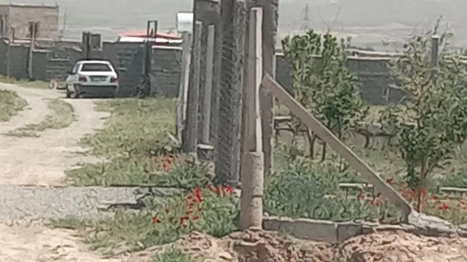 زمین باغی