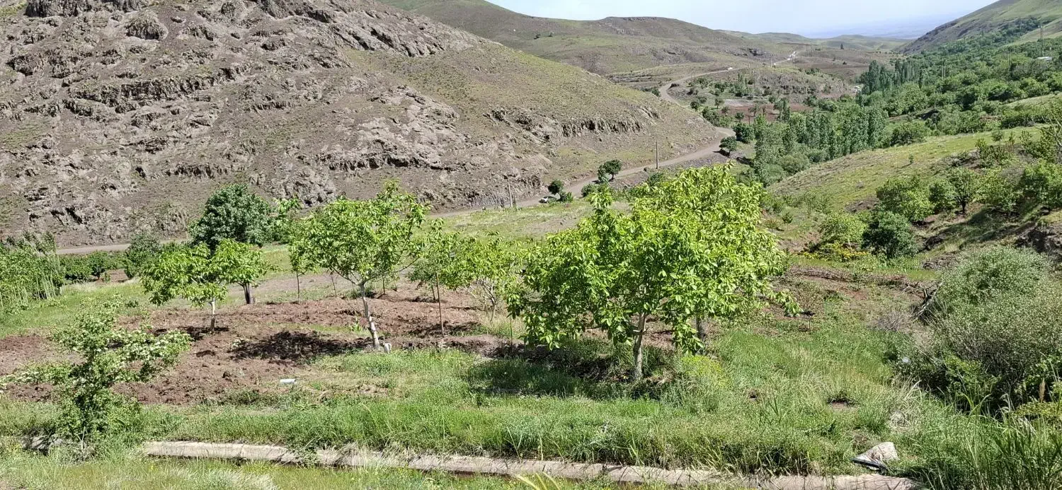 فروش