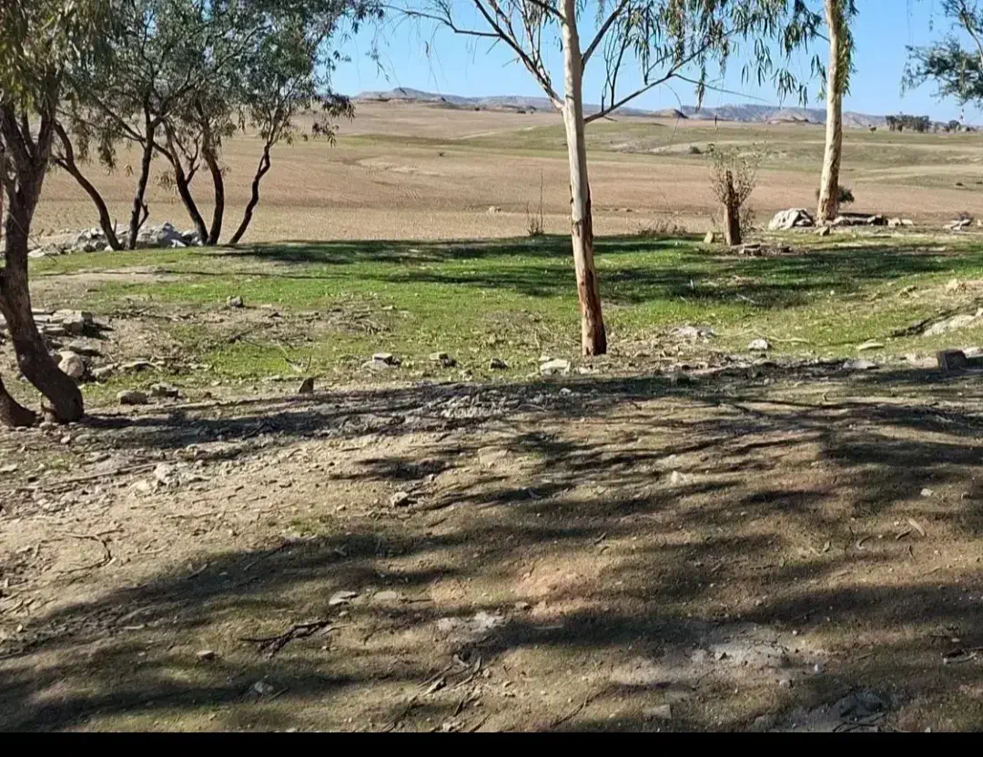 زمین۲۲۰متری اشکان  فاز سپاه