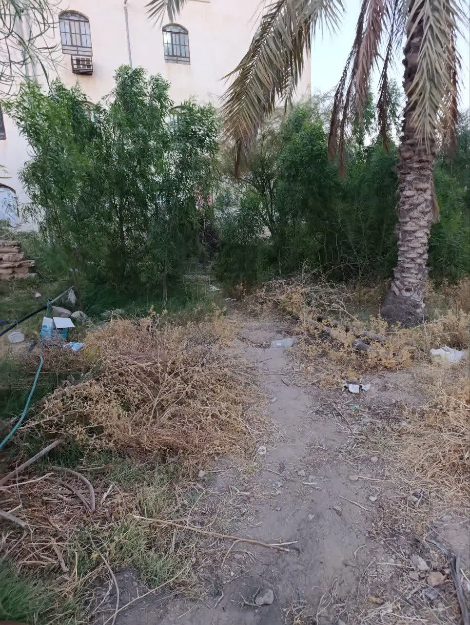 فروش زمین خواجه ها