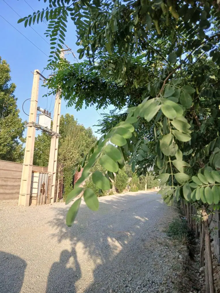 کردان زمین سند دار تکبرگ 320 متر شهرکی
