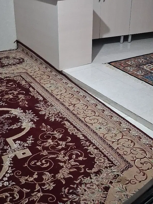 همخونه