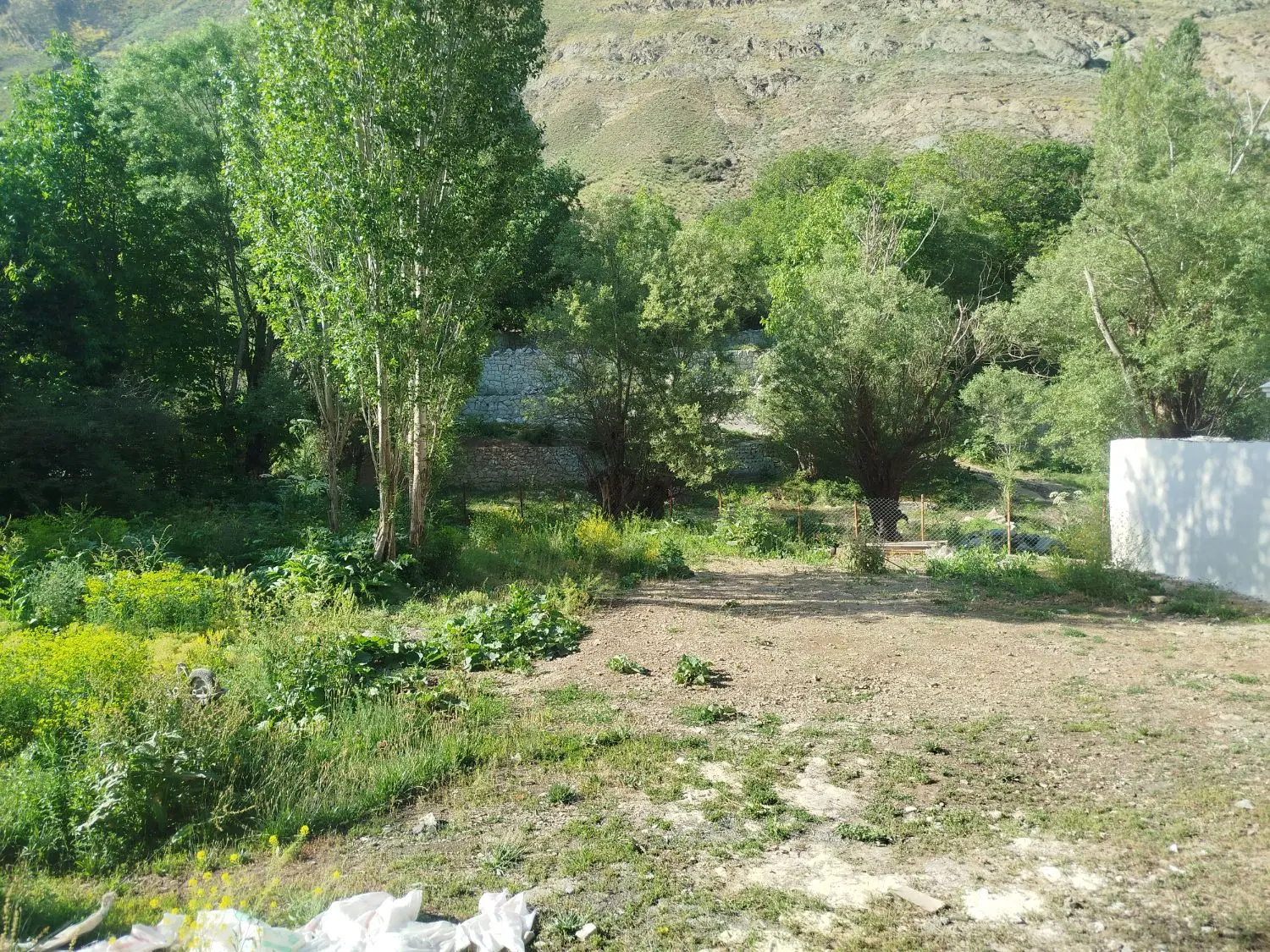 زمین فروشی در جاده چالوس روستای مورود