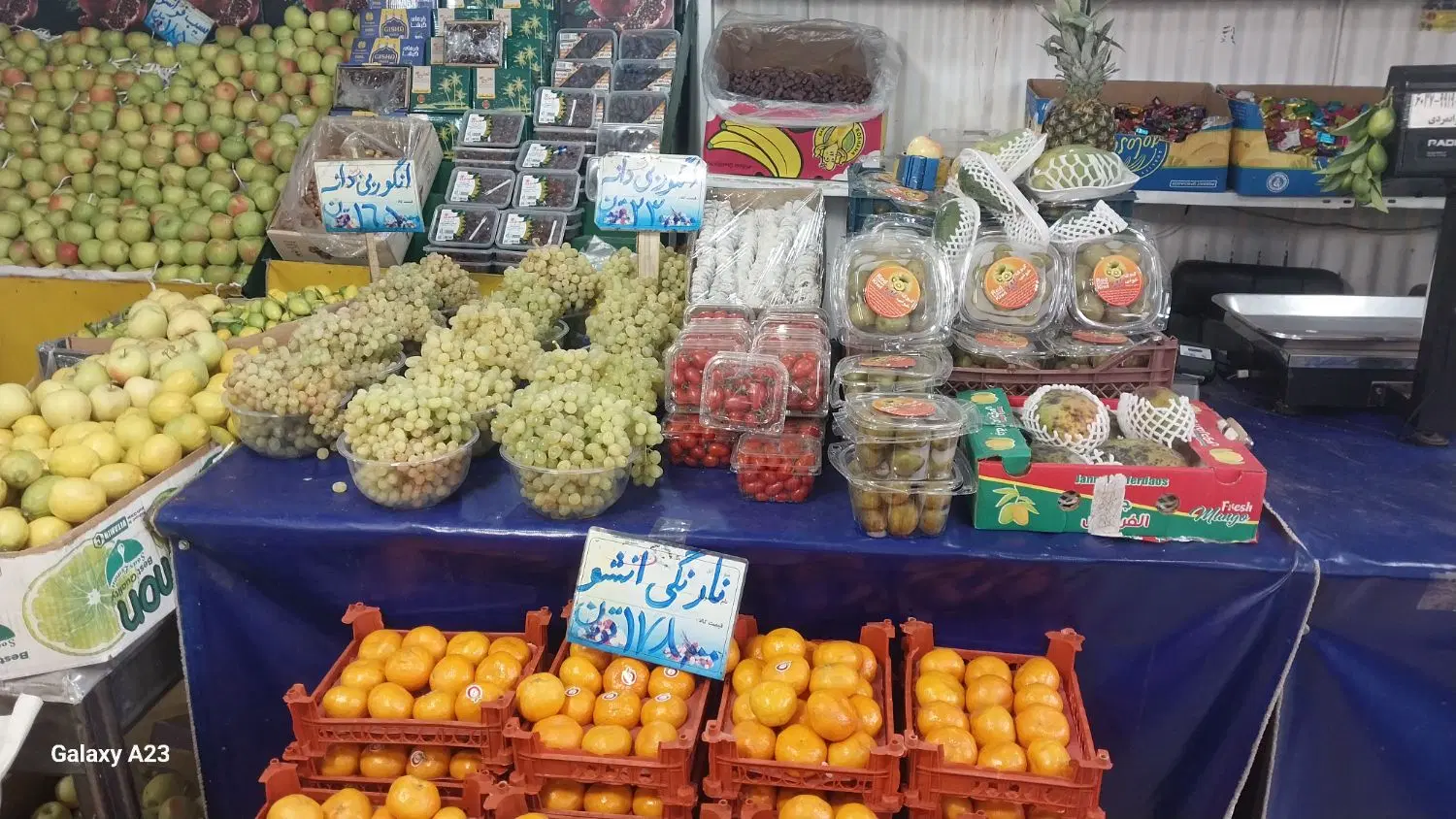 شراکت در میوه تره‌بار