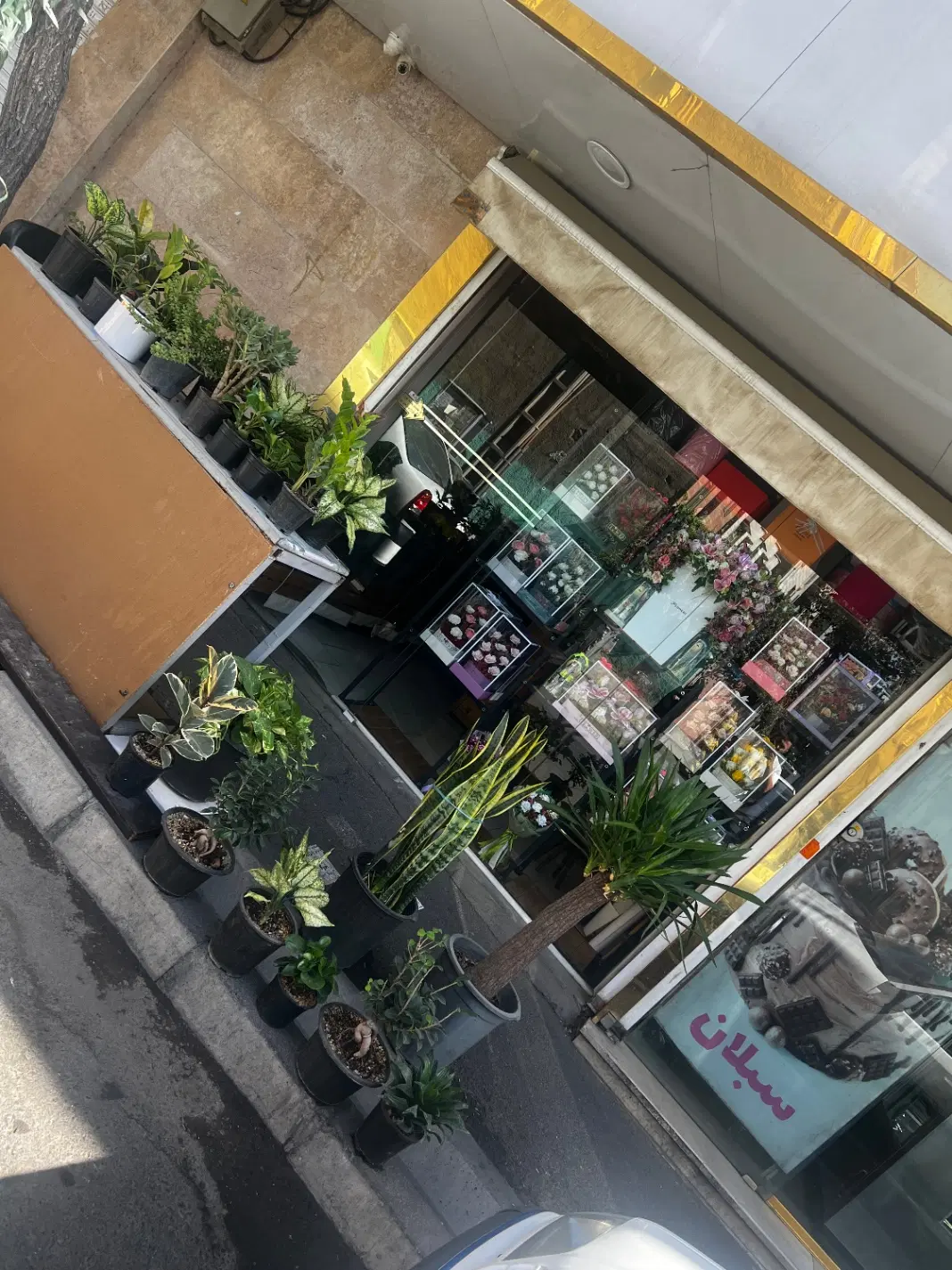 گلفروشی اجاره