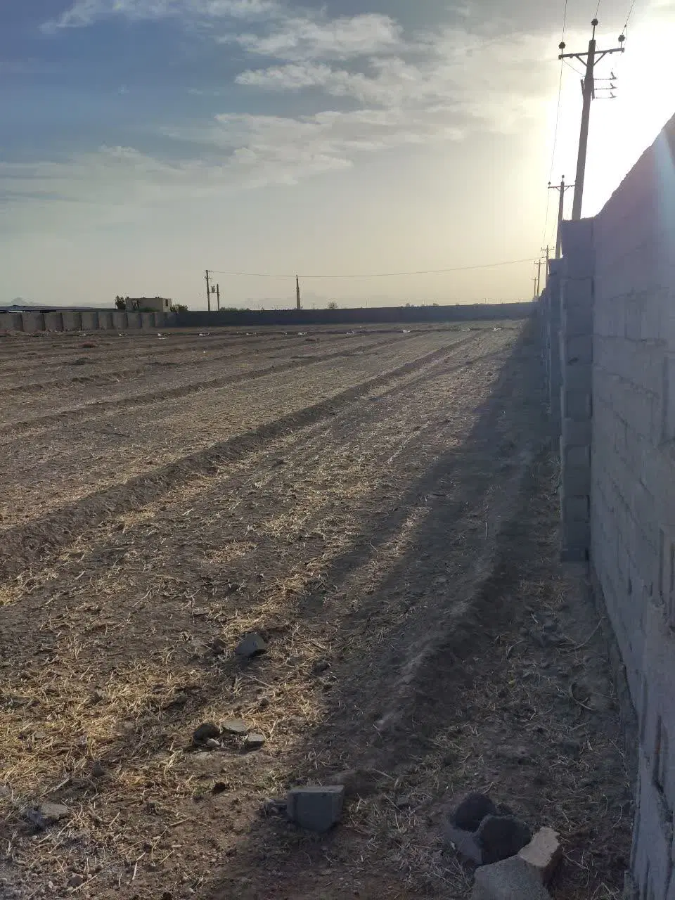 زمین باغی زیار