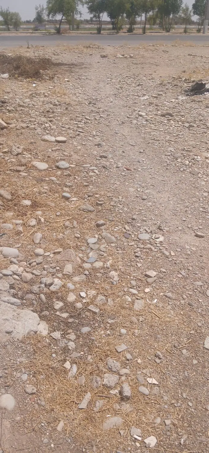 فروش زمین