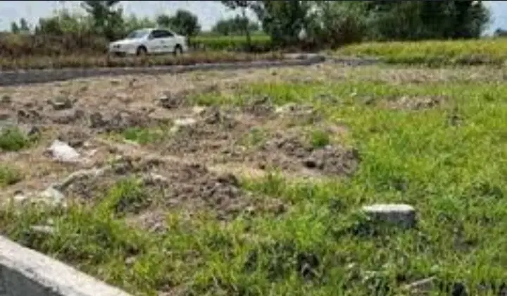زمین تجاری مسکونی