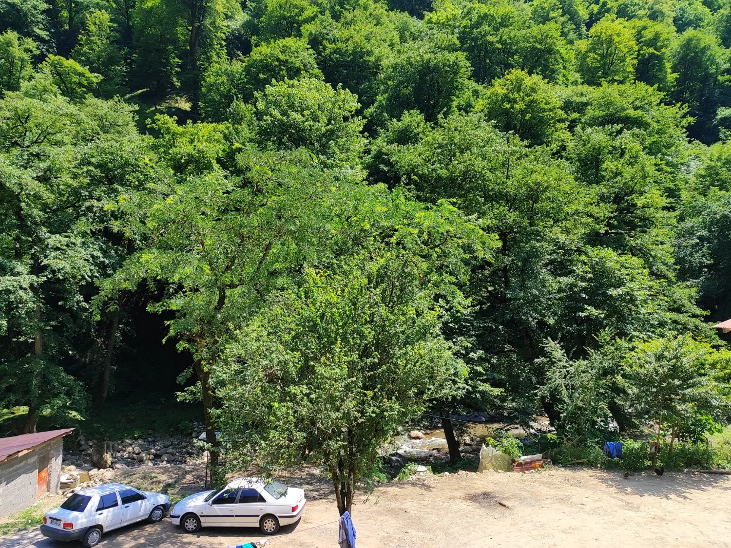 ویلای جنگلی ۵کیلومتری ماسوله