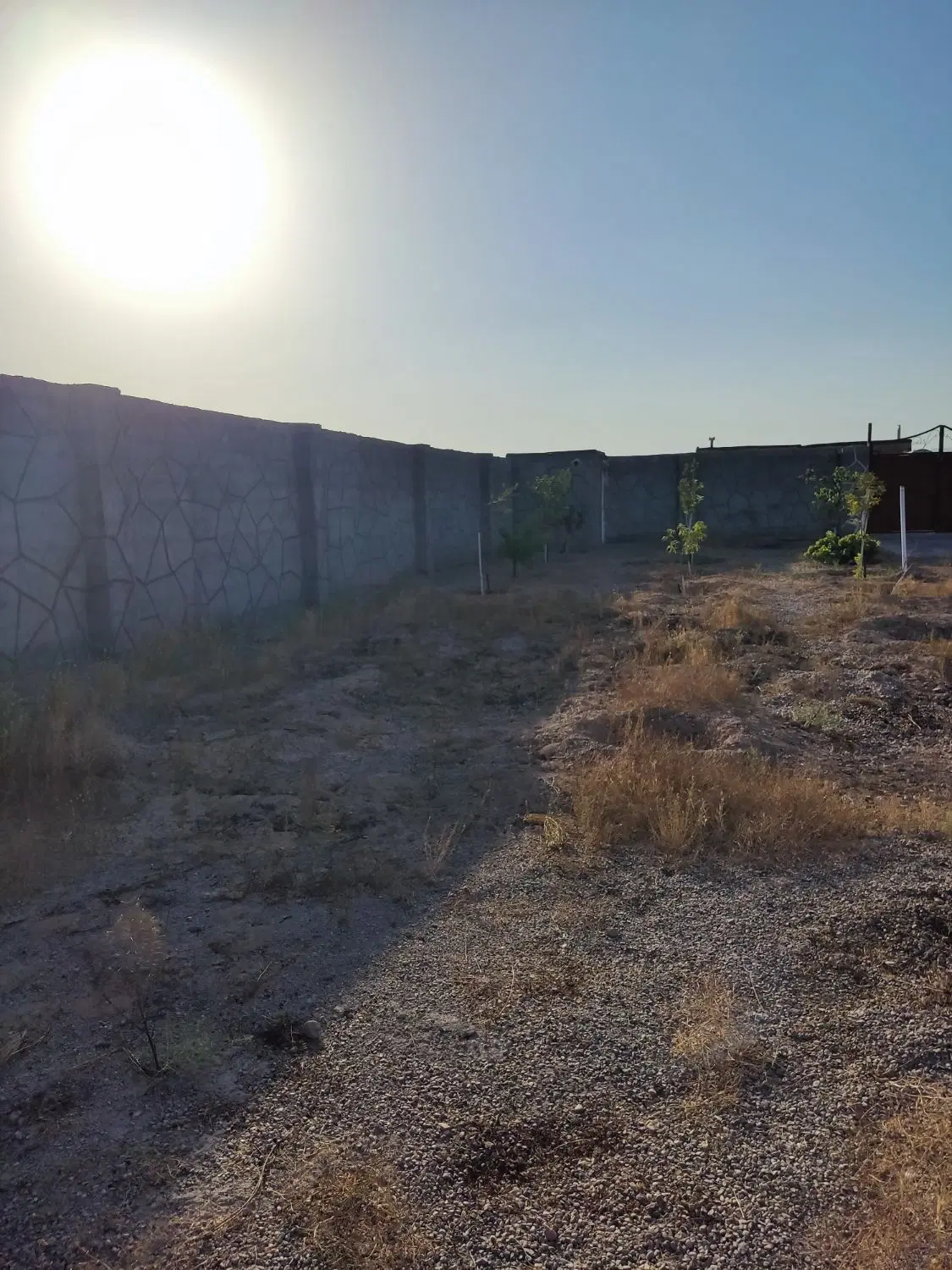 باغ هزار متری در روستای گمیزدر. متردر جاده کلات.