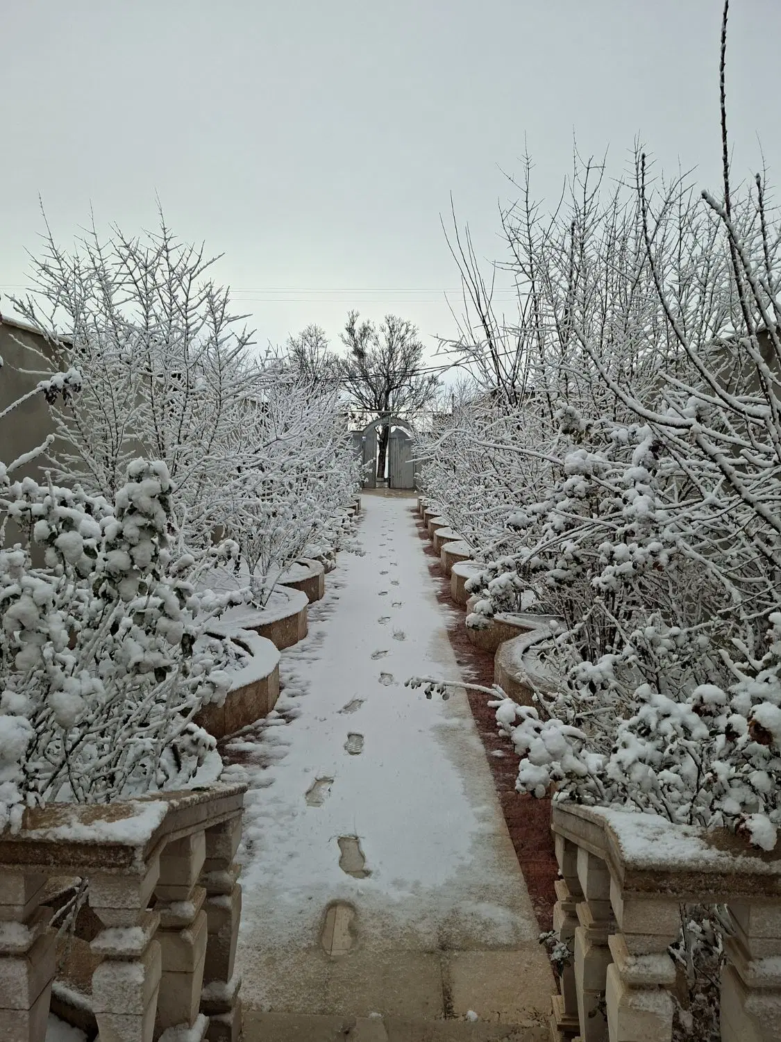 زمین