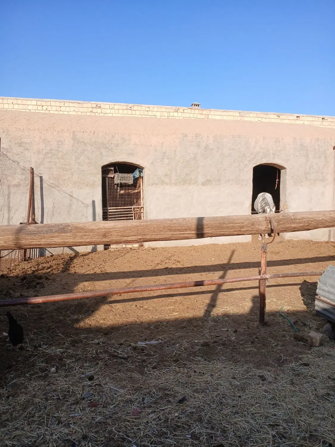 زمین ۴۰۰ متری اجاره