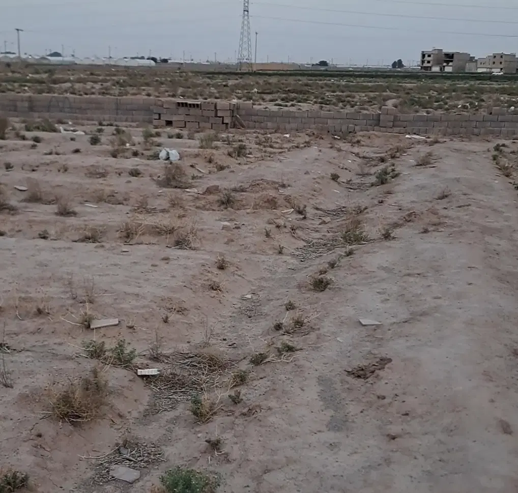 زمین گورک کله بندی