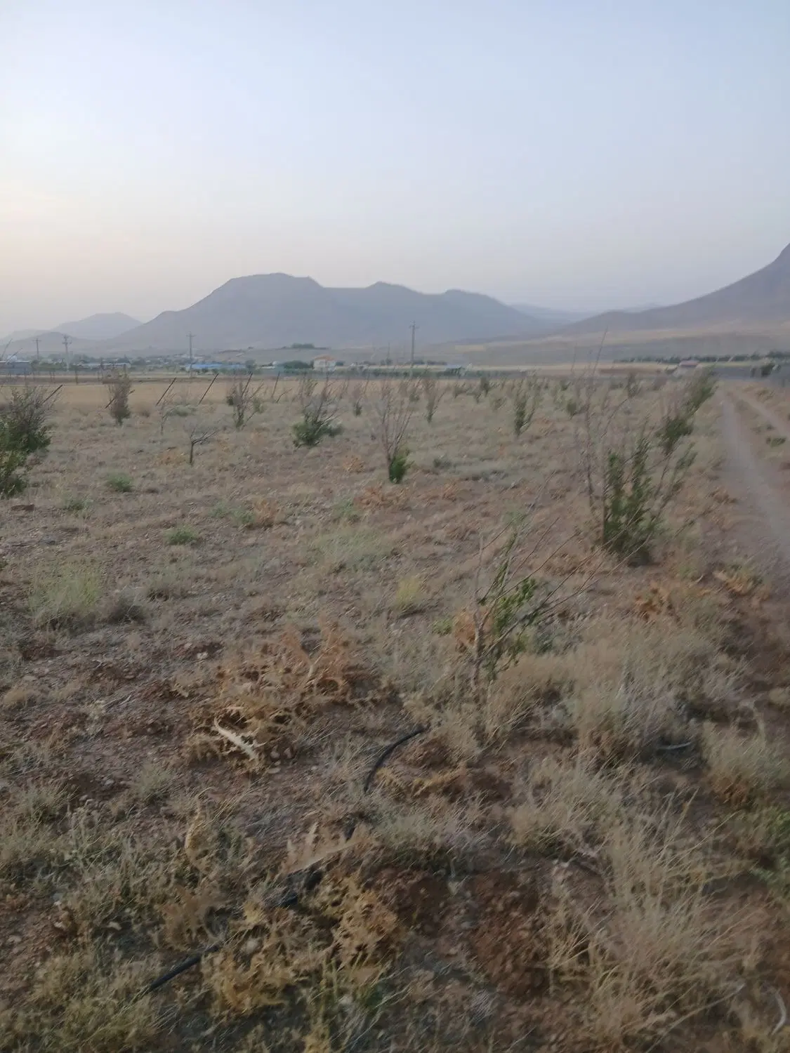 زمین گلشن اباد بان