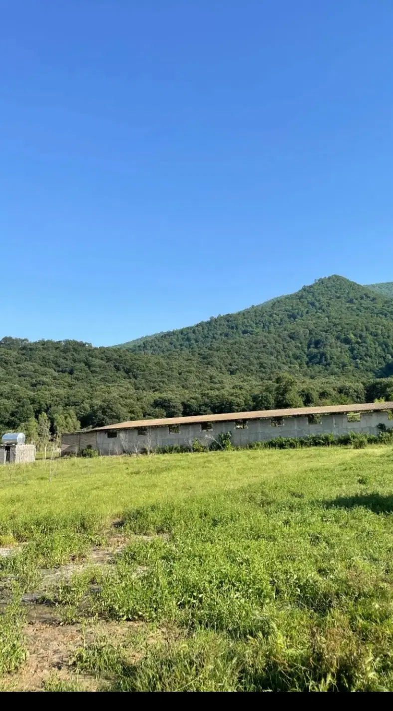 زمین باغی  روستای کردآباد