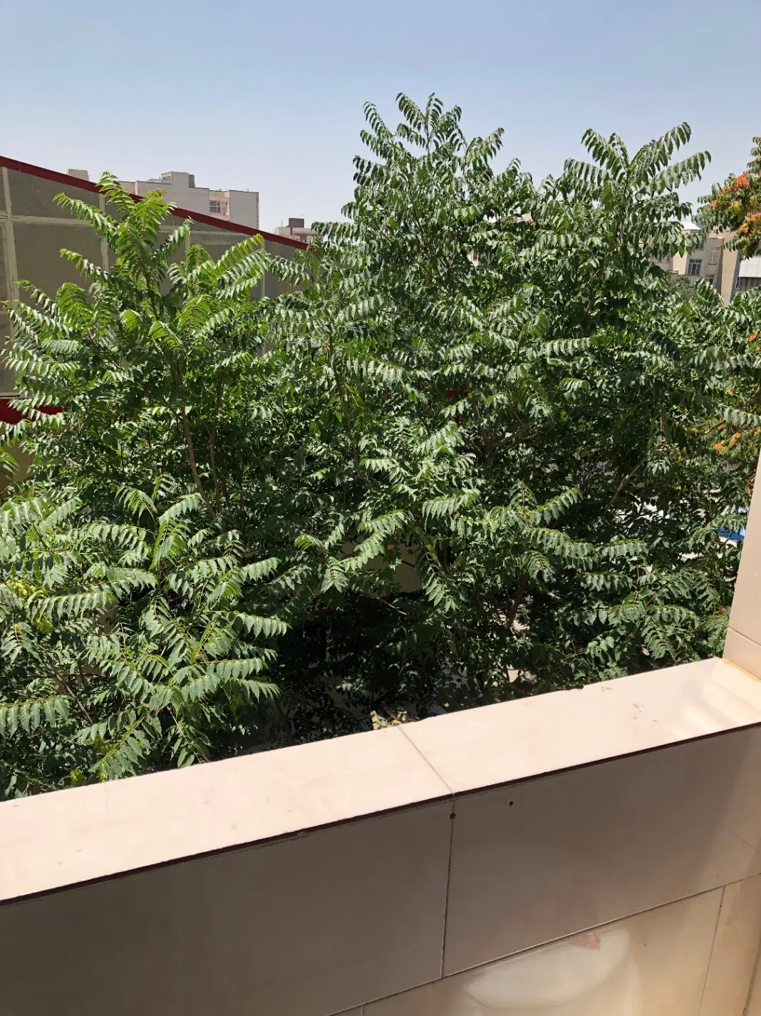 رهن  اپارتمان نوساز
