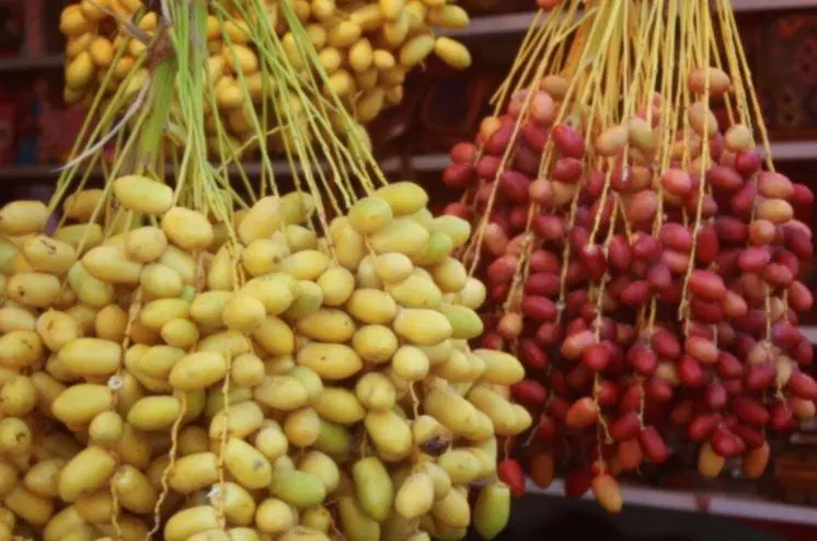 فروش مغازه دالکی
