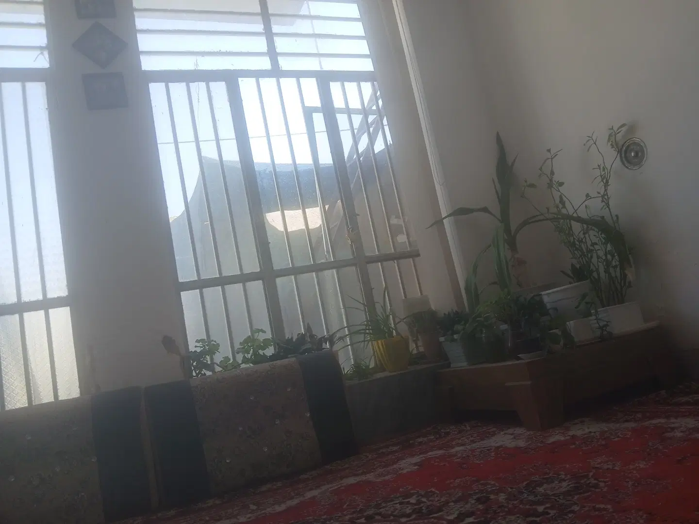 متقاضی خونه واسه همخونه شدن