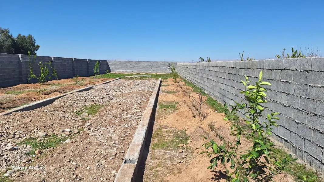 باغچه