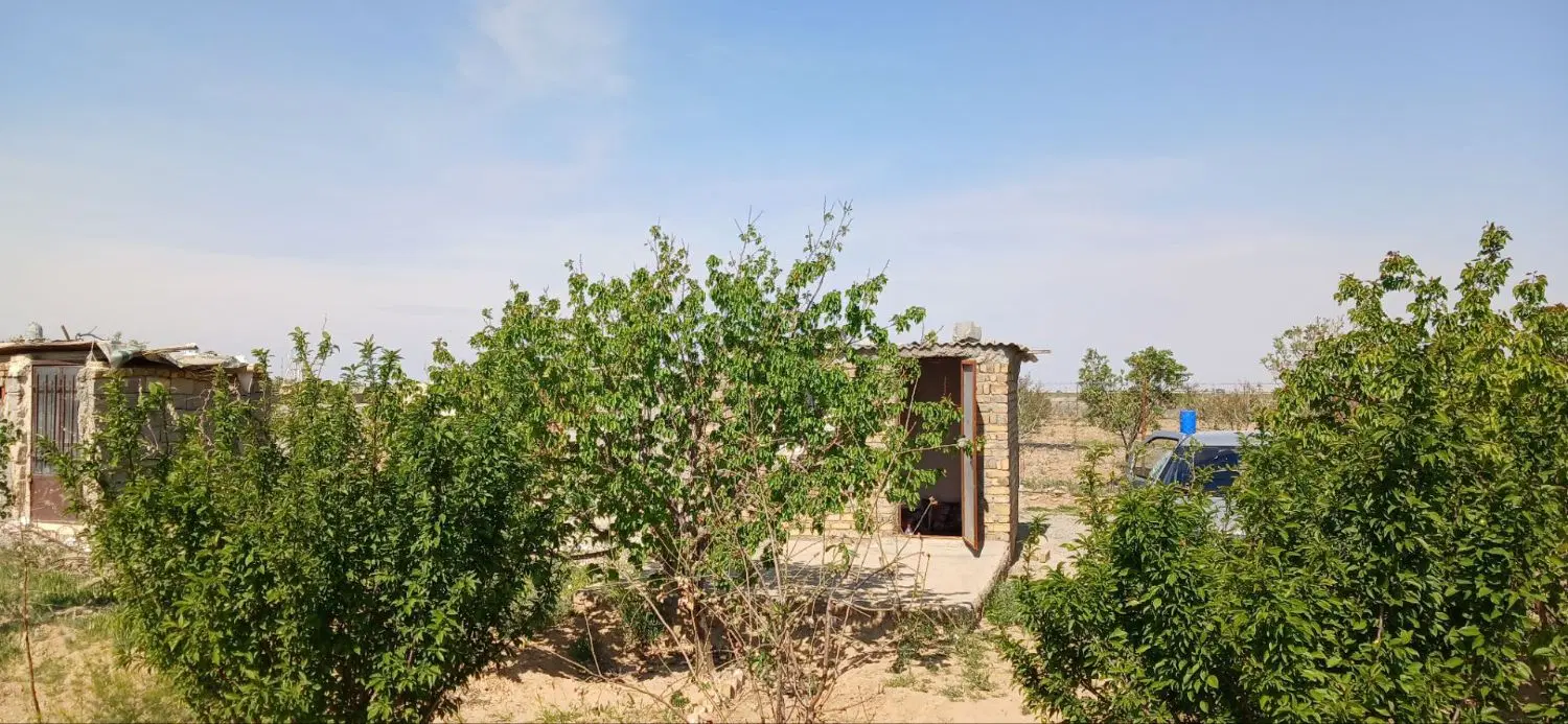باغچه ۵۰۰ متری