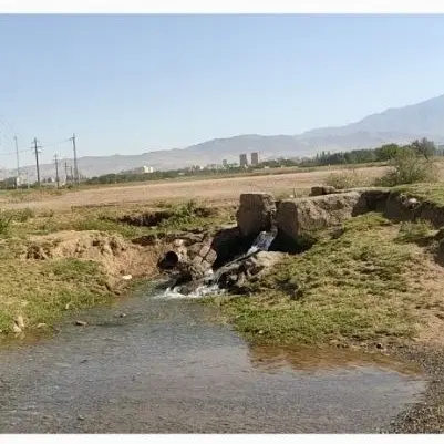 زمین کشاورزی اجاره داده می شود