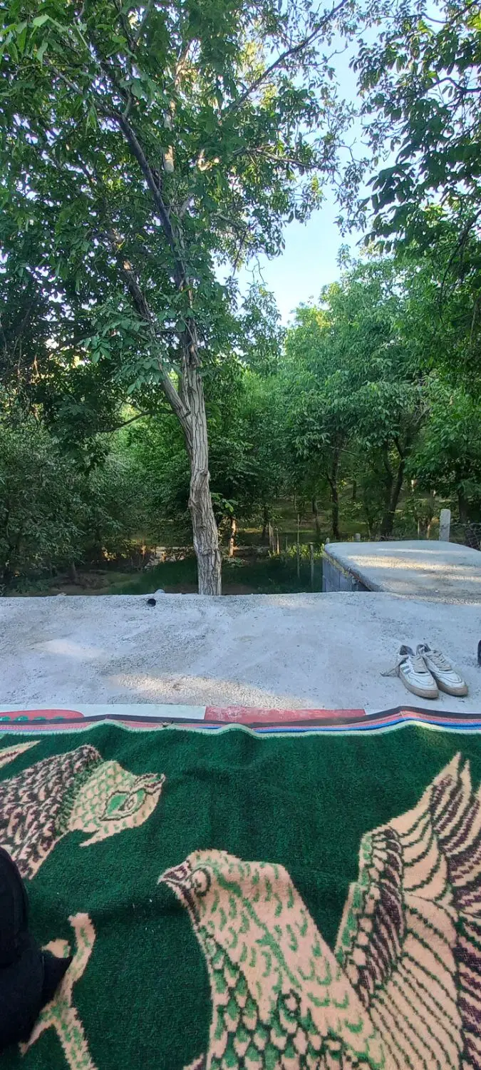 فروش باغ ورکانه