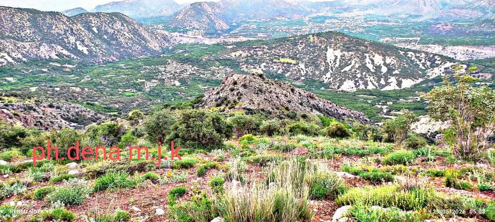 یک قطعه زمین مسکونی واقع در محله سنگان کوچه چشمه