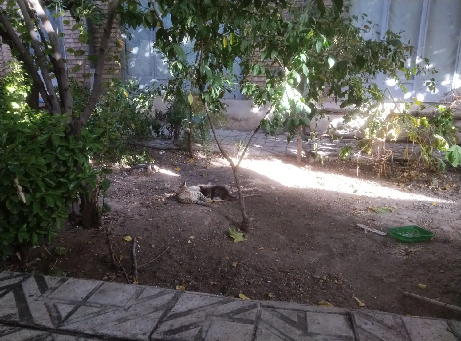 فروش ملک ویلایی