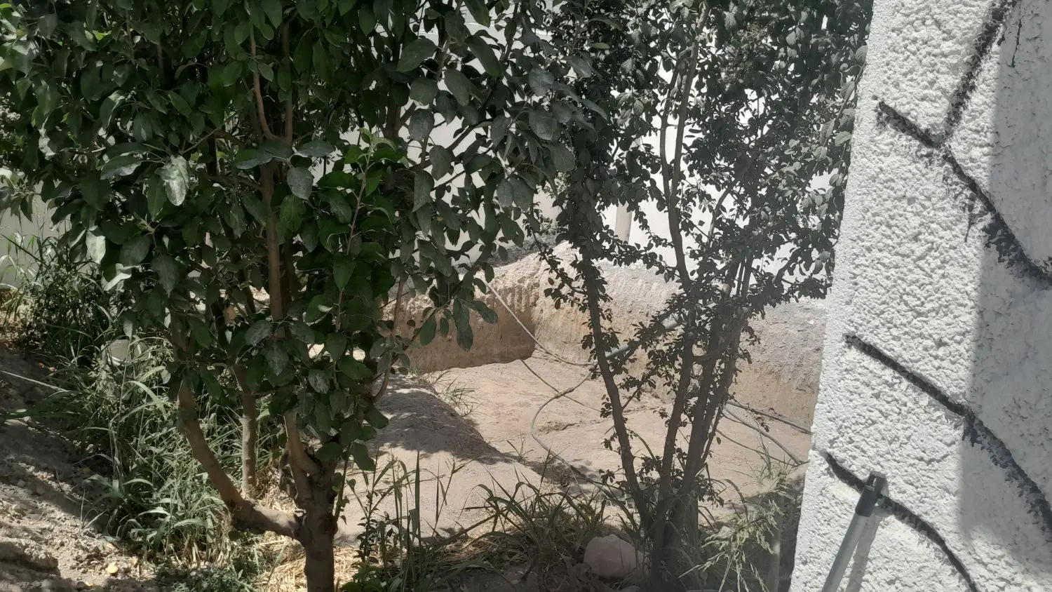 باغچه ۲۸۰ متری
