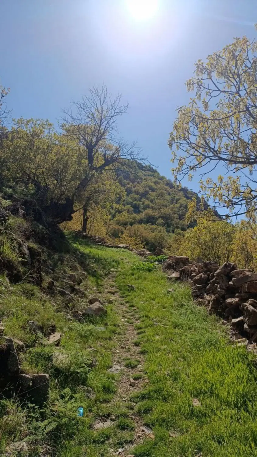 زمین کوتشیخ