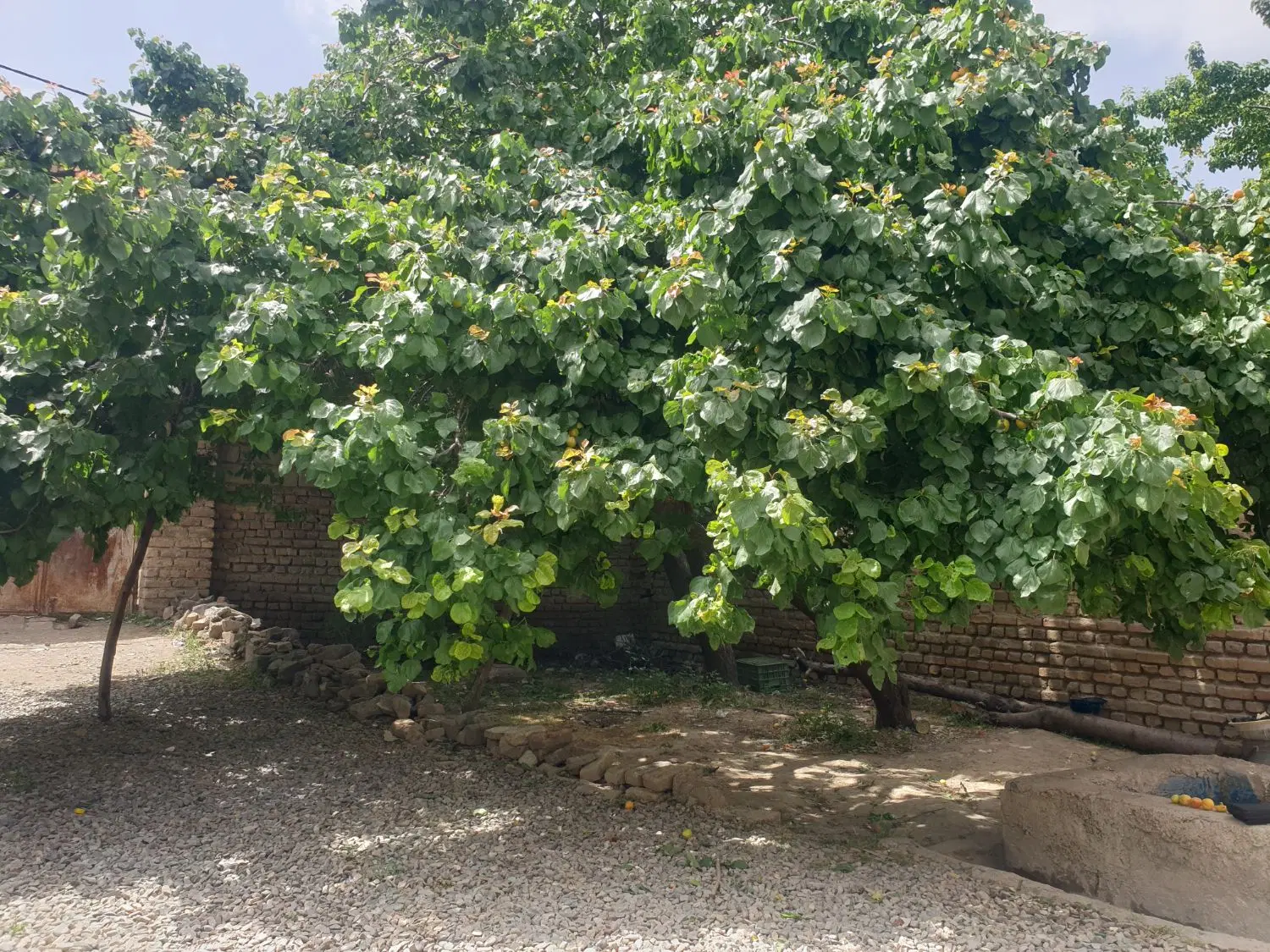 ویلایی سند دار