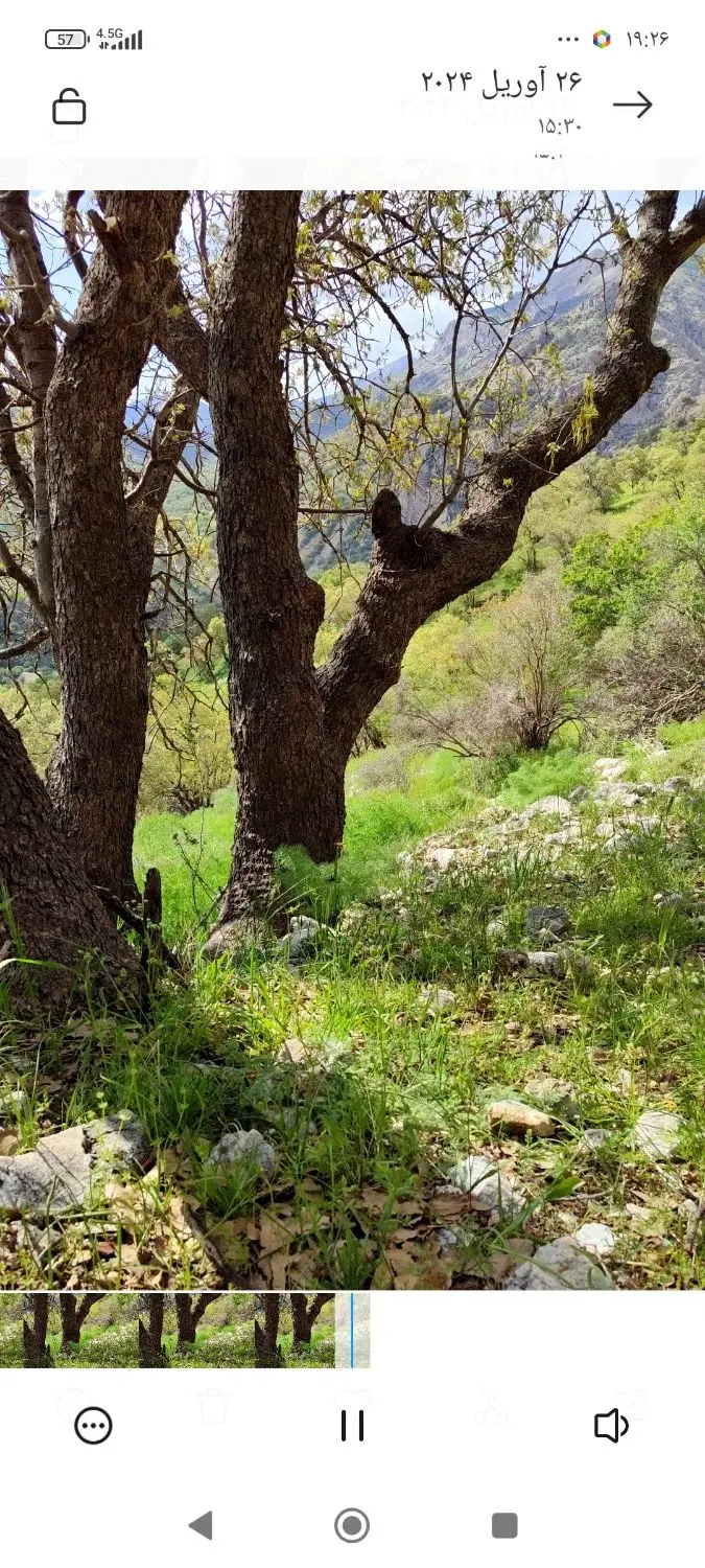 زمین باغی سرچشمه گنجه ای