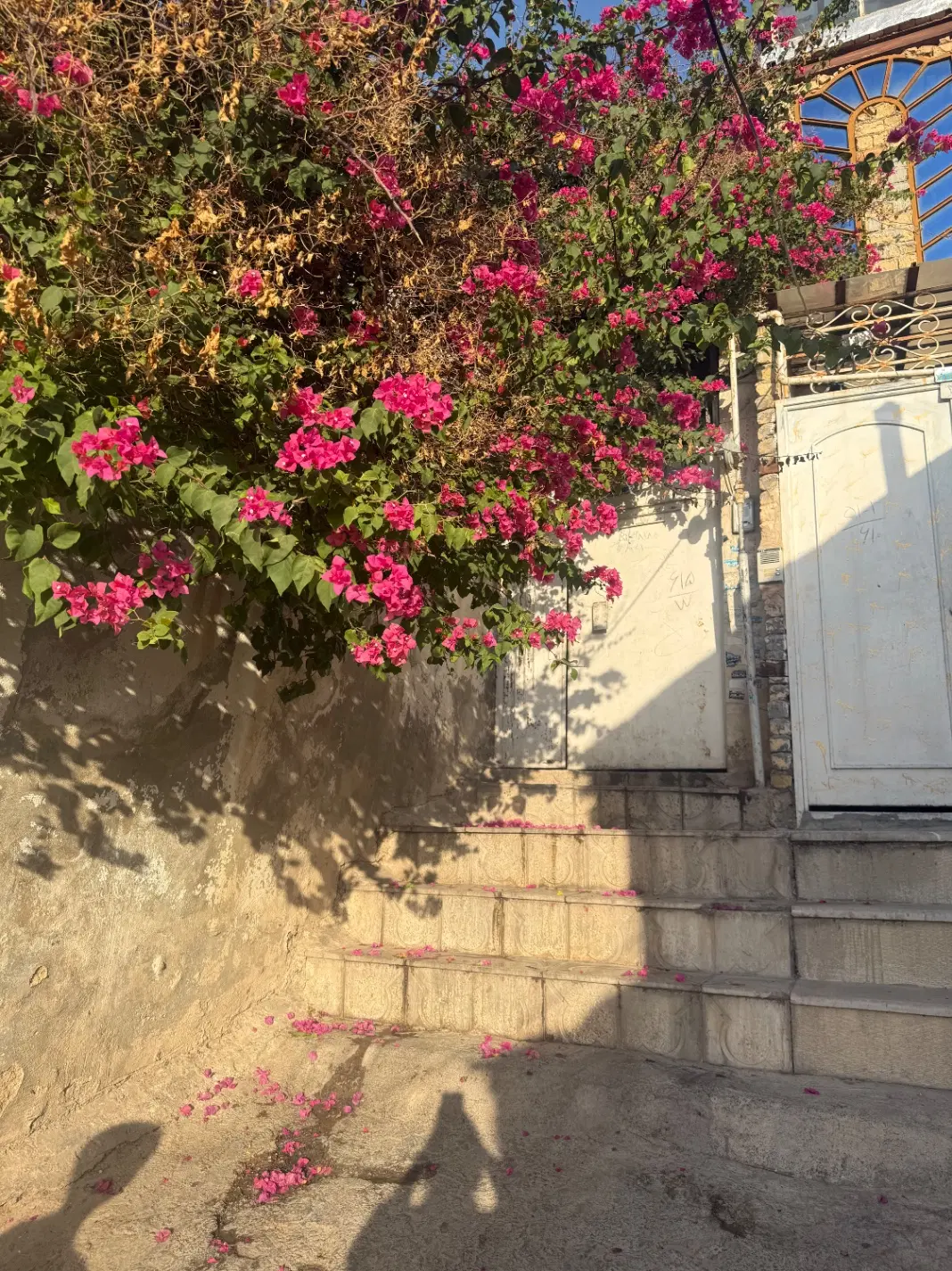 فروش منزل ویلایی