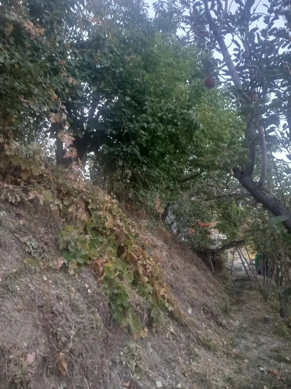 فروش زمین