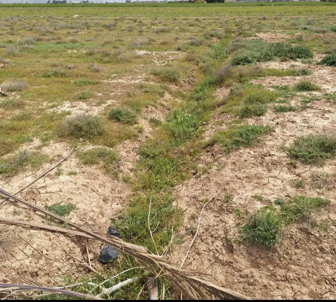 فروش زمین مسکونی