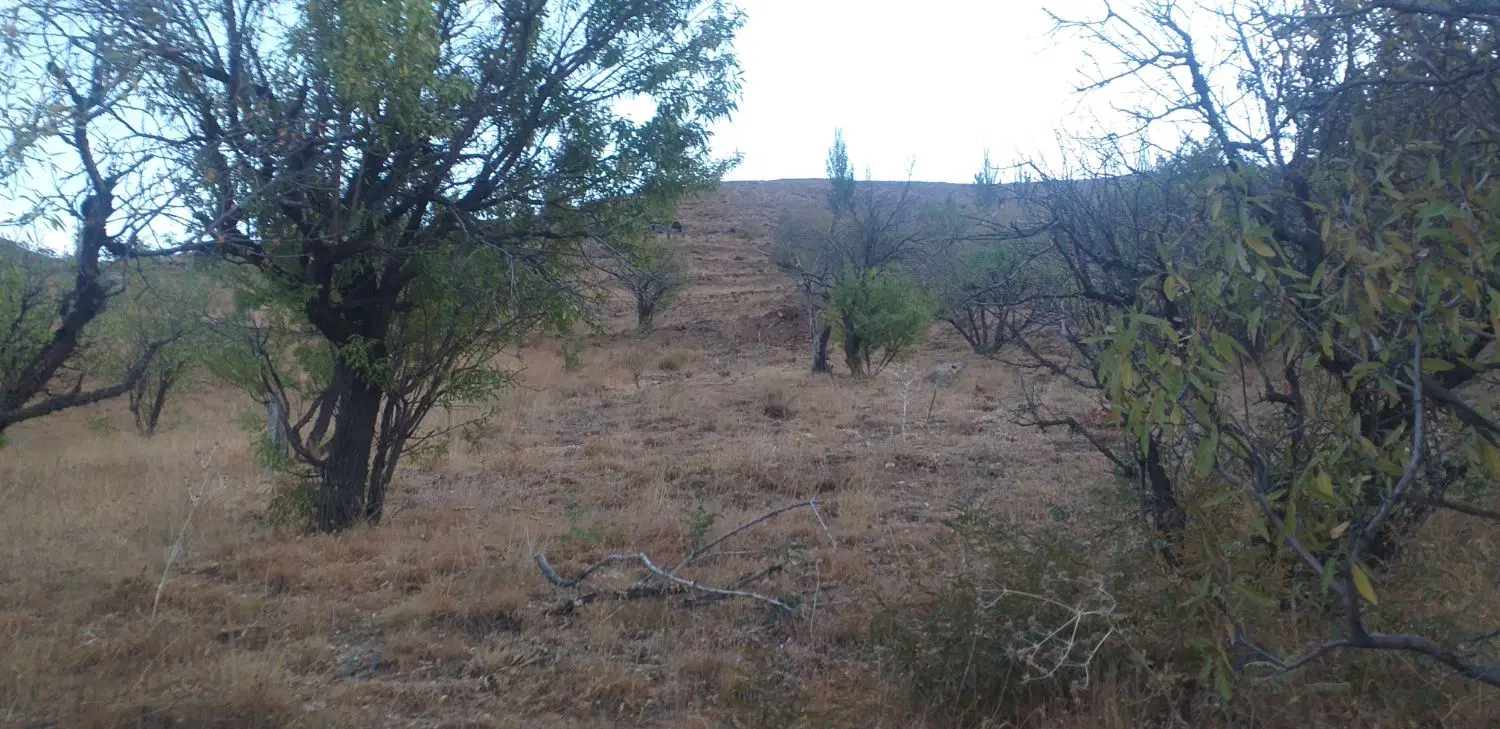 باغ گنجنامه ۵۰۰ متری