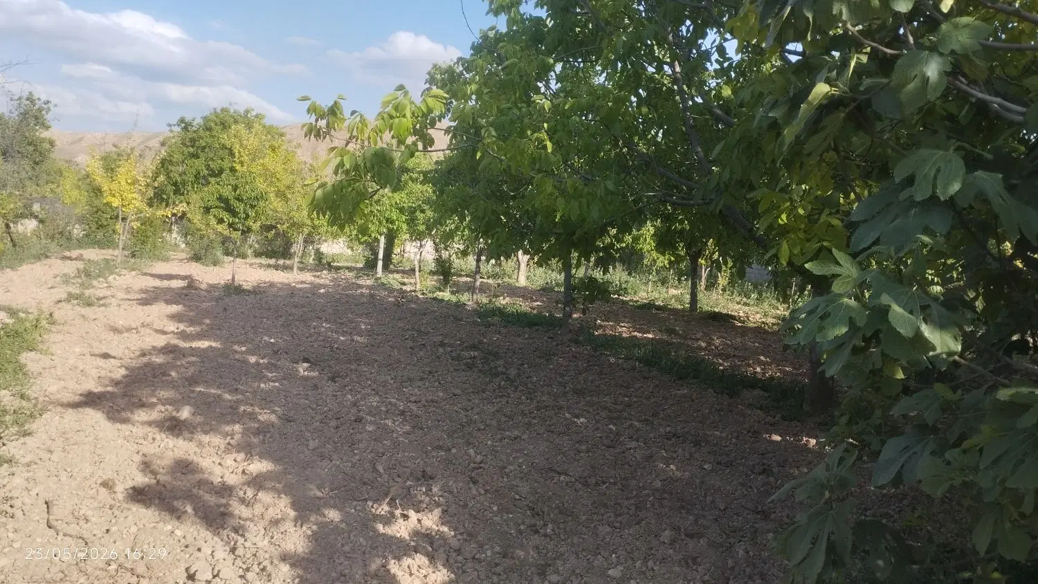 ۳۰۰۰متر باغ ویلایی