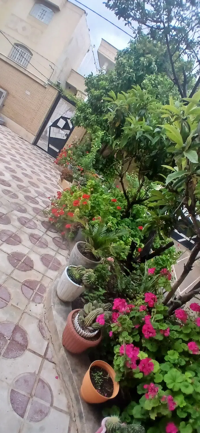 اپارتمان دو خواب چمران