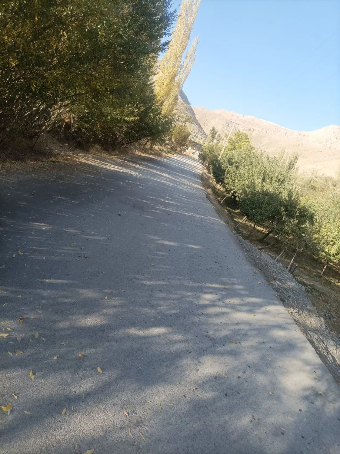 زمین