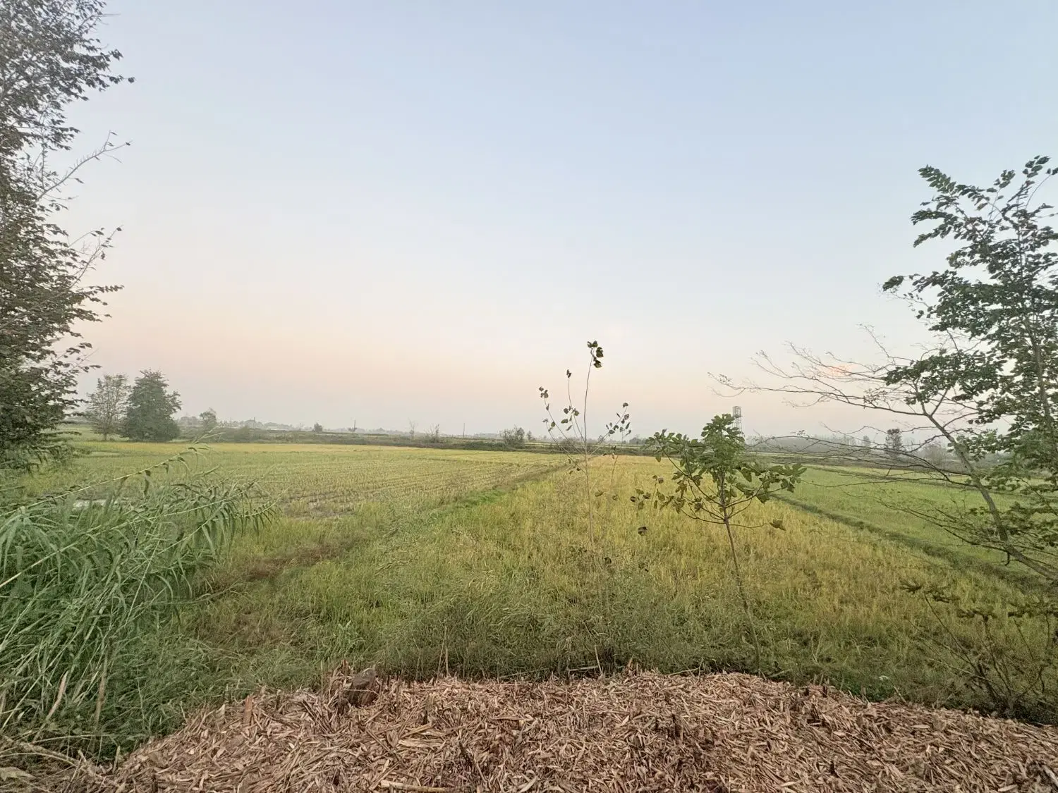 ۳۰۰متر  زمین کاملا مسکونی بویین راسته کنار