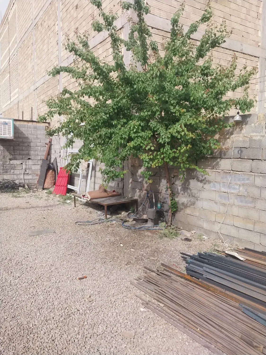 اجاره منزل مسکونی طبقه ۲ جلیل آباد شیرانی