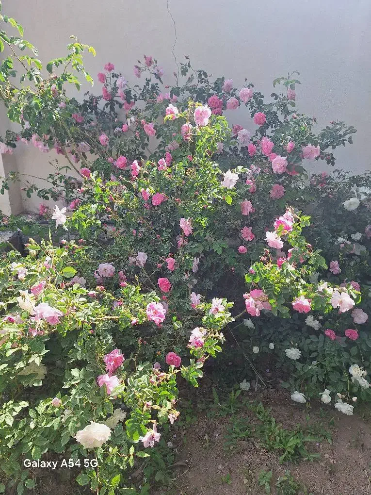 خانه ویلایی قلعه تل
