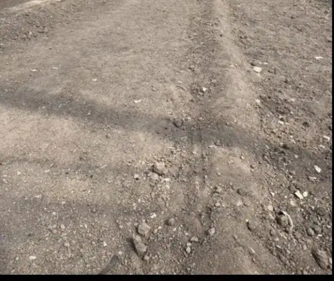 یک قطعه زمین متراژ ۲۴۲متر شهرستان بافق