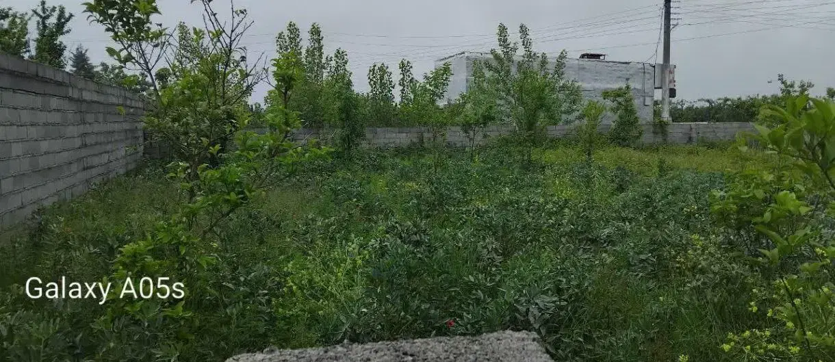 زمین مسکونی